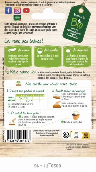 Potagères - Laitue Pommée May Queen - BIO - MEDIA_PACKAGING_VERSO